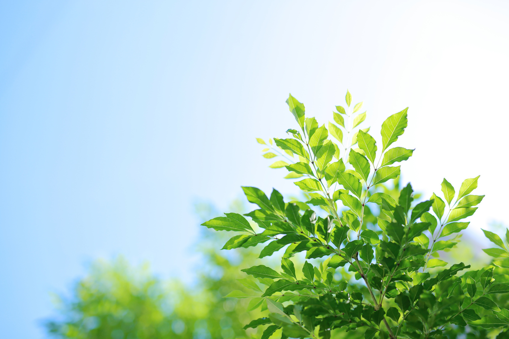 治療の道を選んだきっかけを教えてください